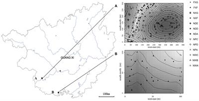 Revealing the relative importance among plant species, slope positions, and soil types on rhizosphere microbial communities in northern tropical karst and non-karst seasonal rainforests of China